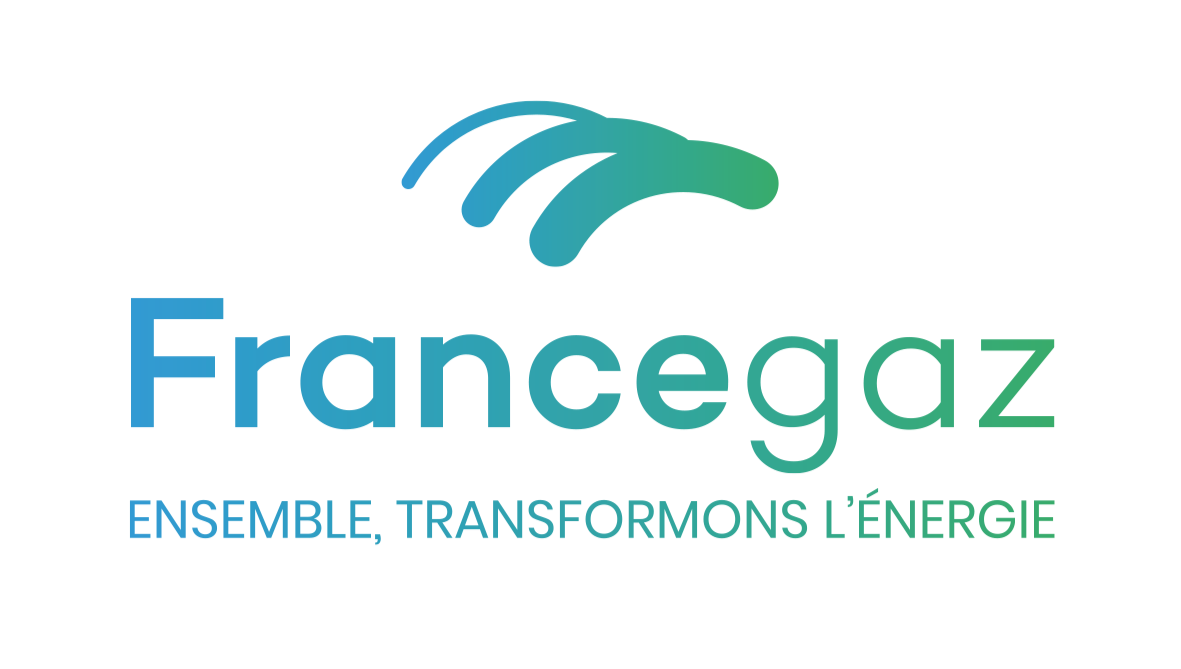 Mixité et transition énergétique : attirer davantage de femmes dans les métiers de l'énergie